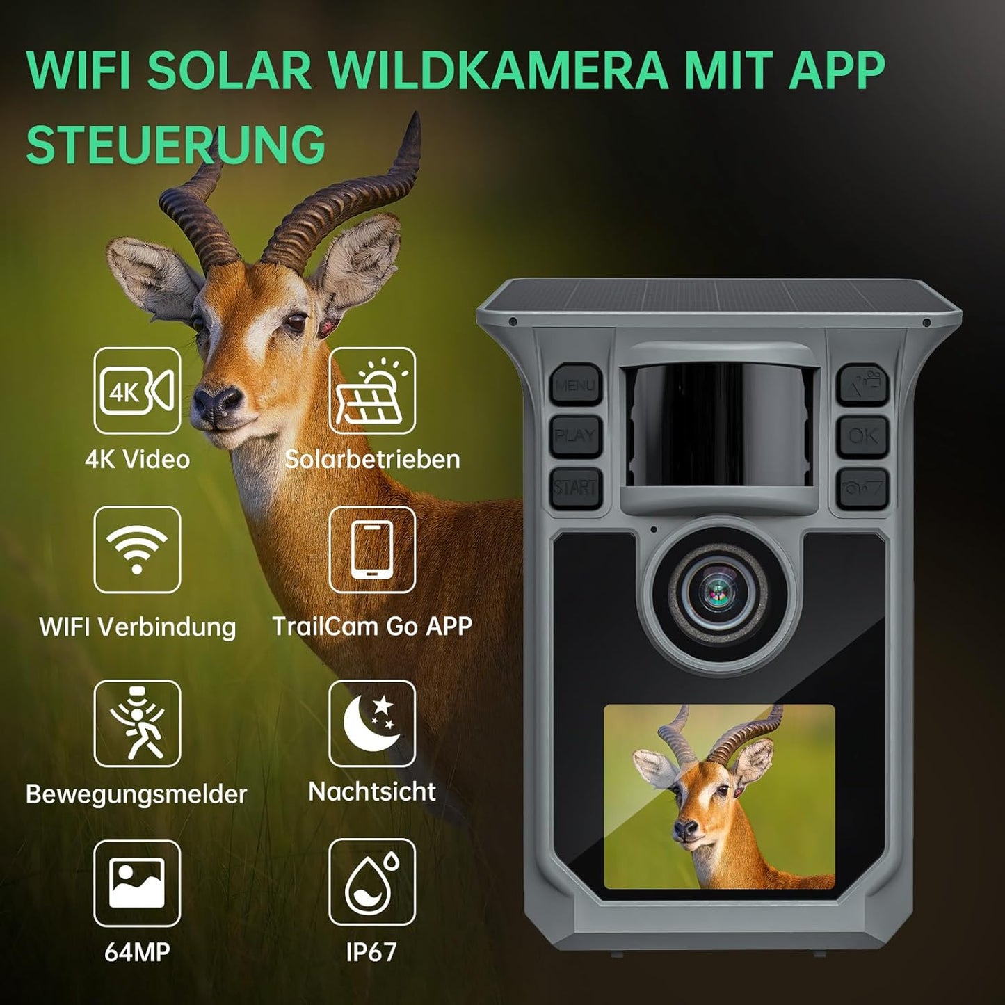 4K Wildkamera mit Bewegungsmelder und Nachtsicht