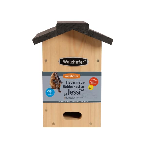 Fledermauskasten Jessi