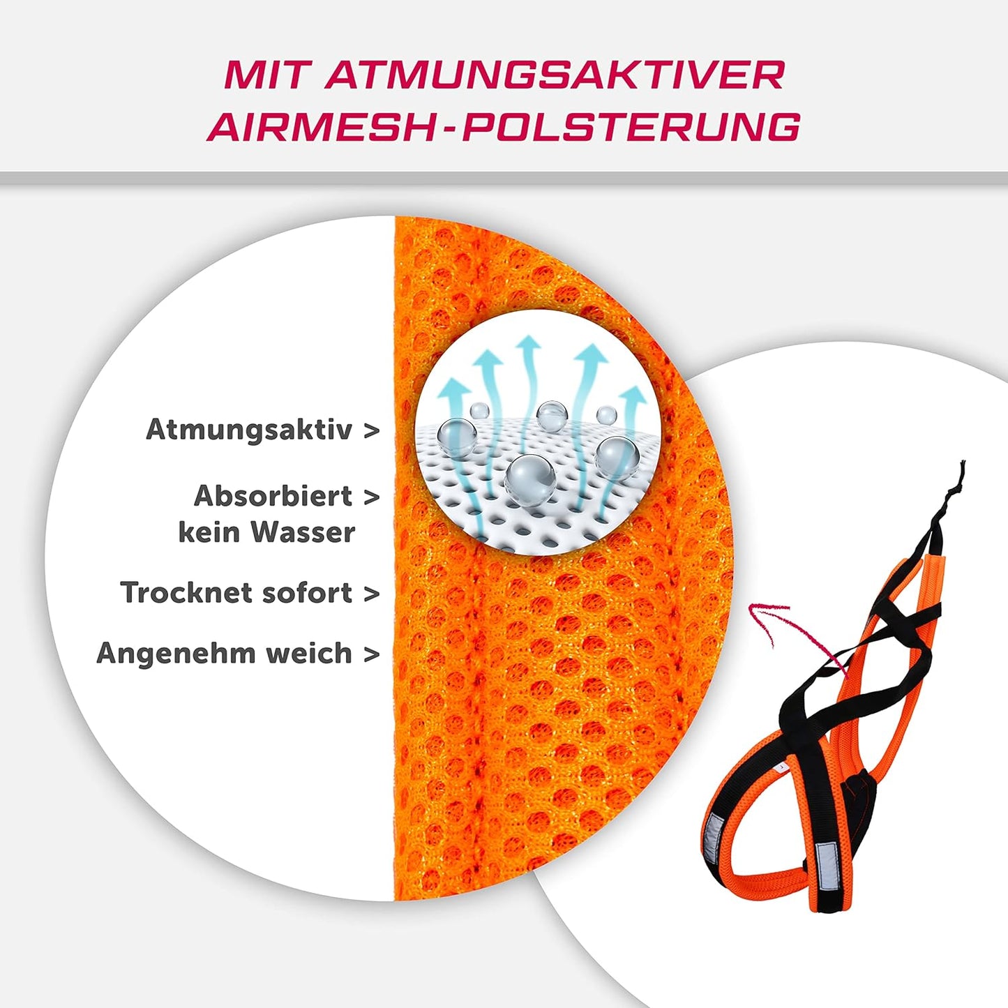Zuggeschirr, M