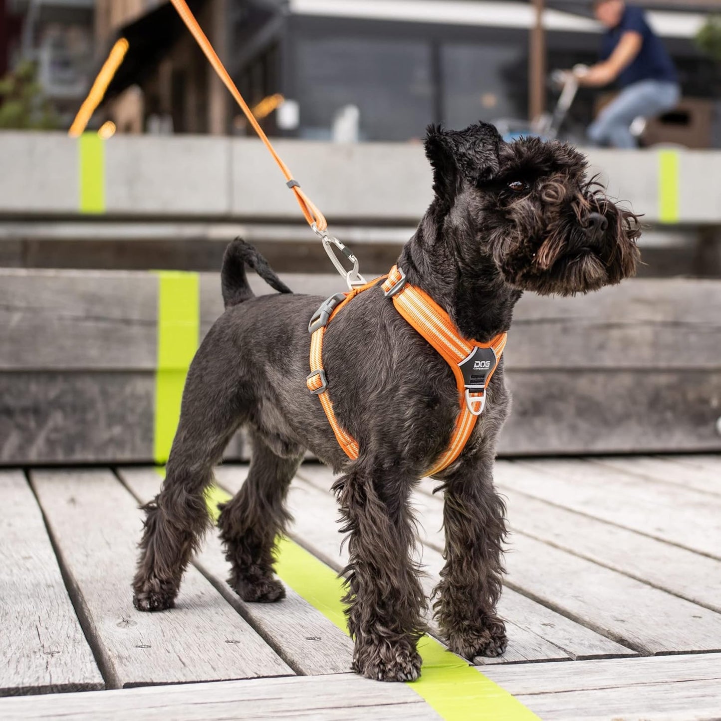 Comfort Walk Air Hundegeschirr, Mocca XS