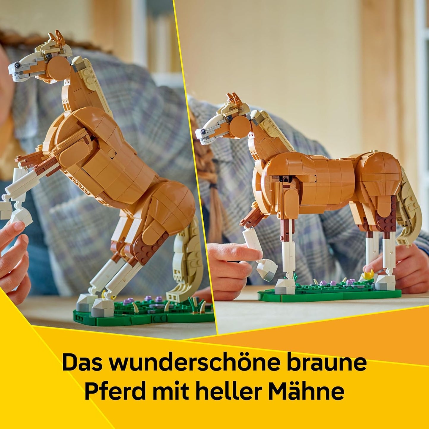 Prächtiges Ross