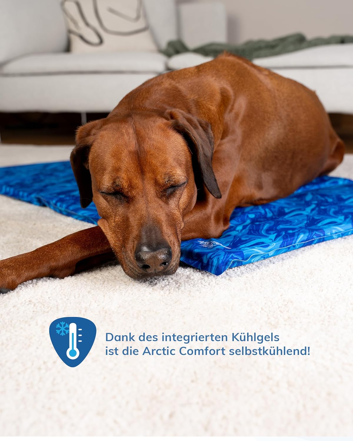 Arctic Comfort Hundekühlmatte, 50x35cm, 50x35cm