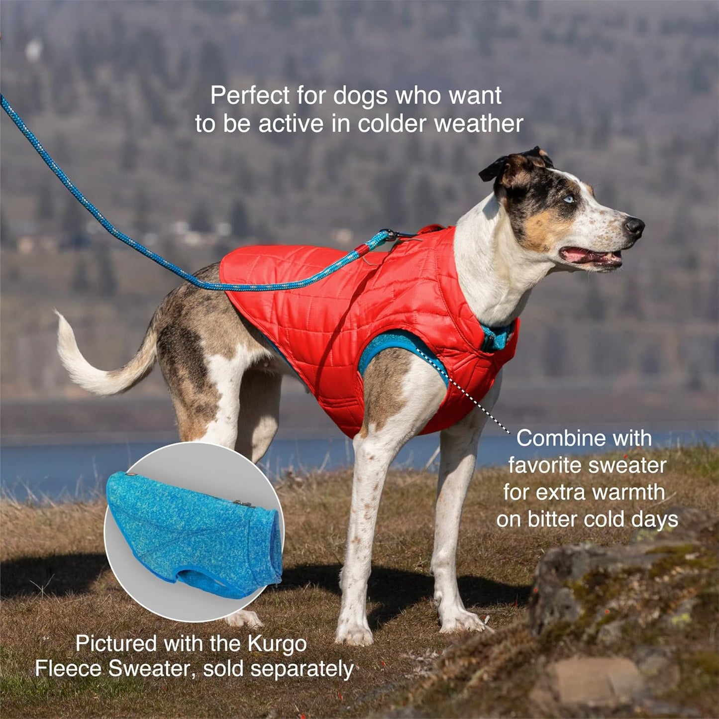 Wendbarer Wintermantel für Hunde, Small Loft Jacke Gepresstes Blatt