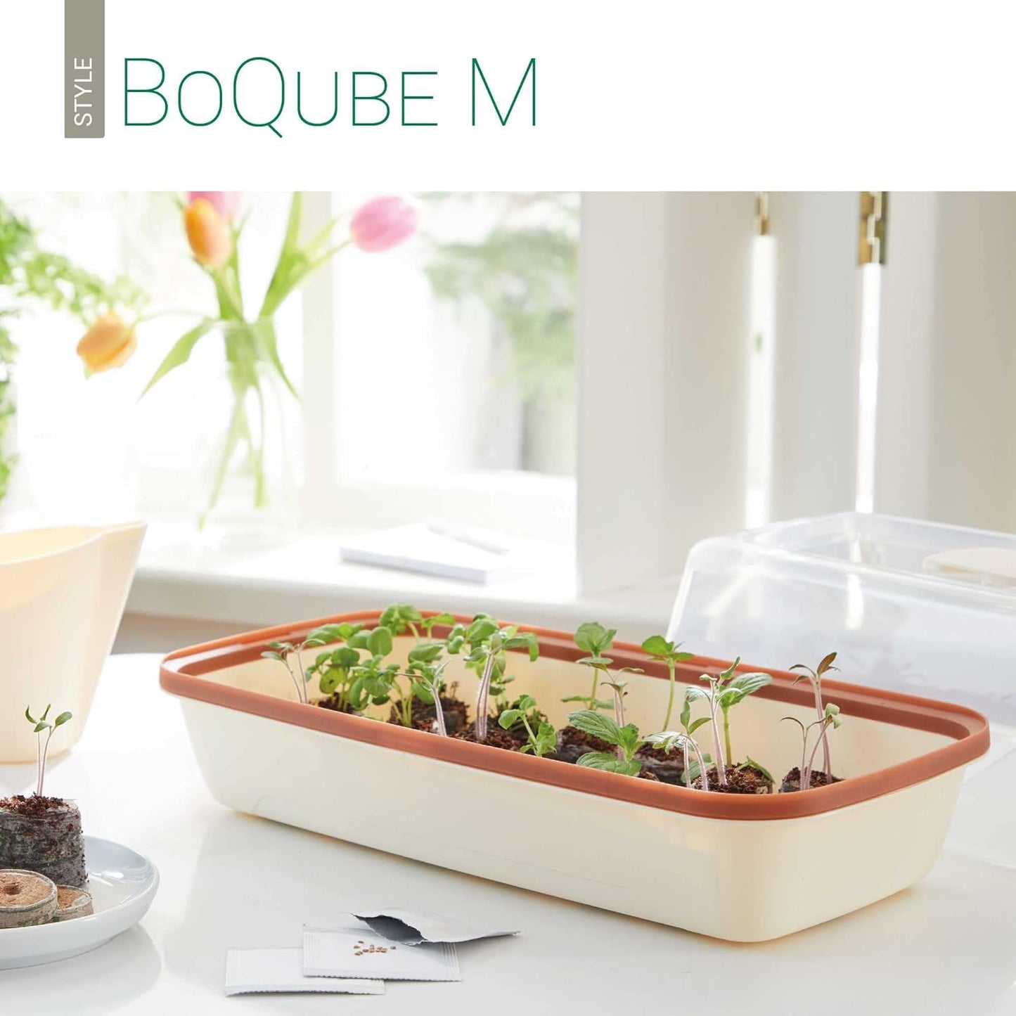 Mini-Zimmergewächshaus mit Belüftung und Giessöffnung, BoQube M — 37×19×18cm Creme / Kupferbraun