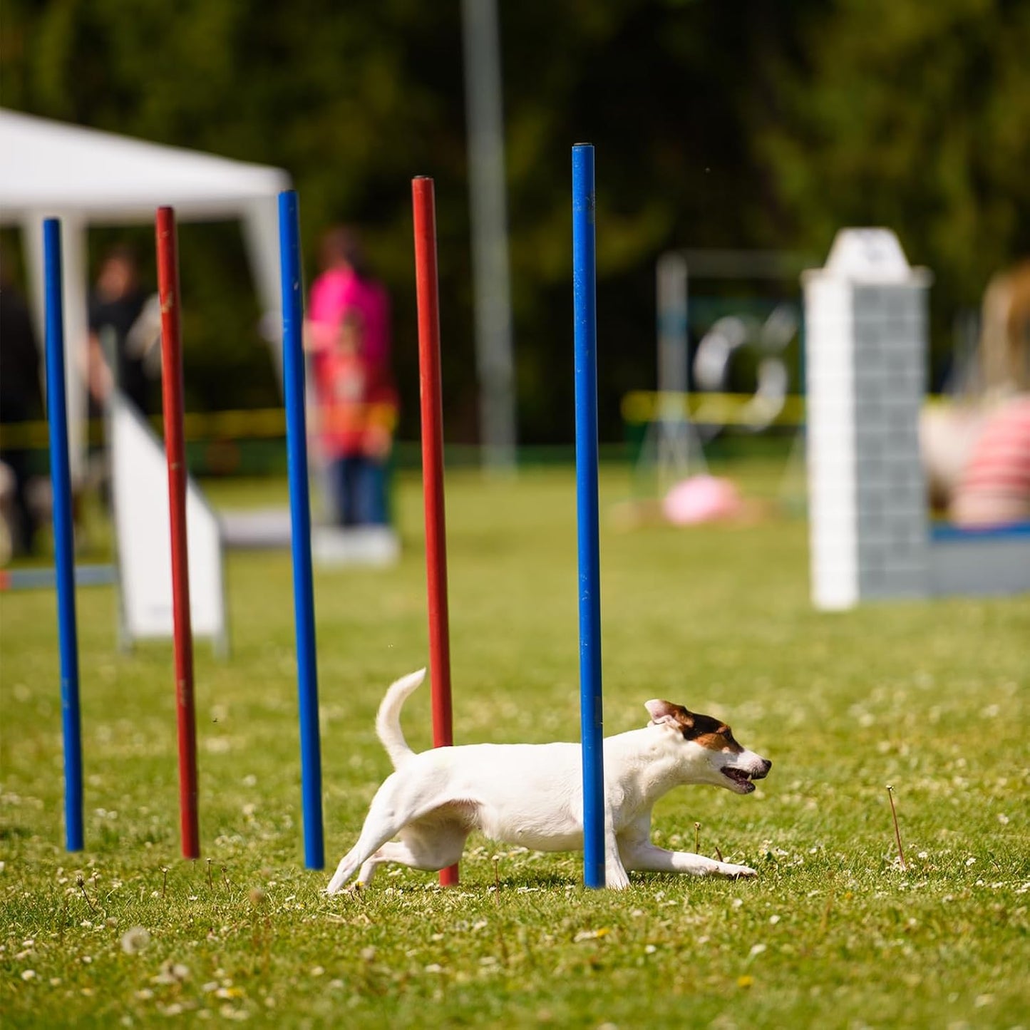7-teiliges Agility Set mit Tunnel und Hürden