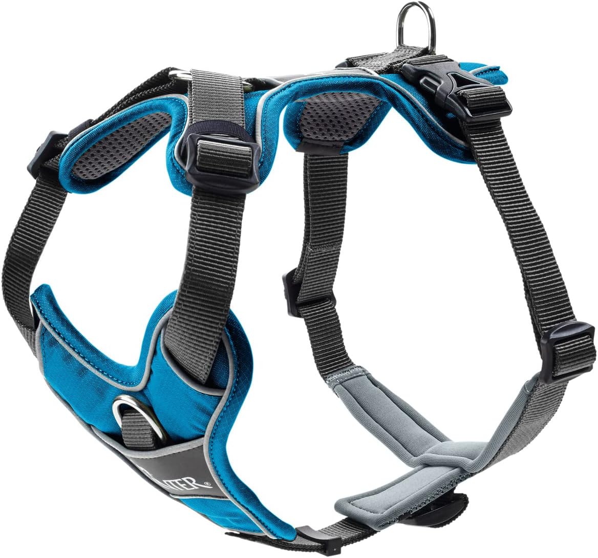 Geschirr Divo, 56 - 73 cm, hellblau/grau