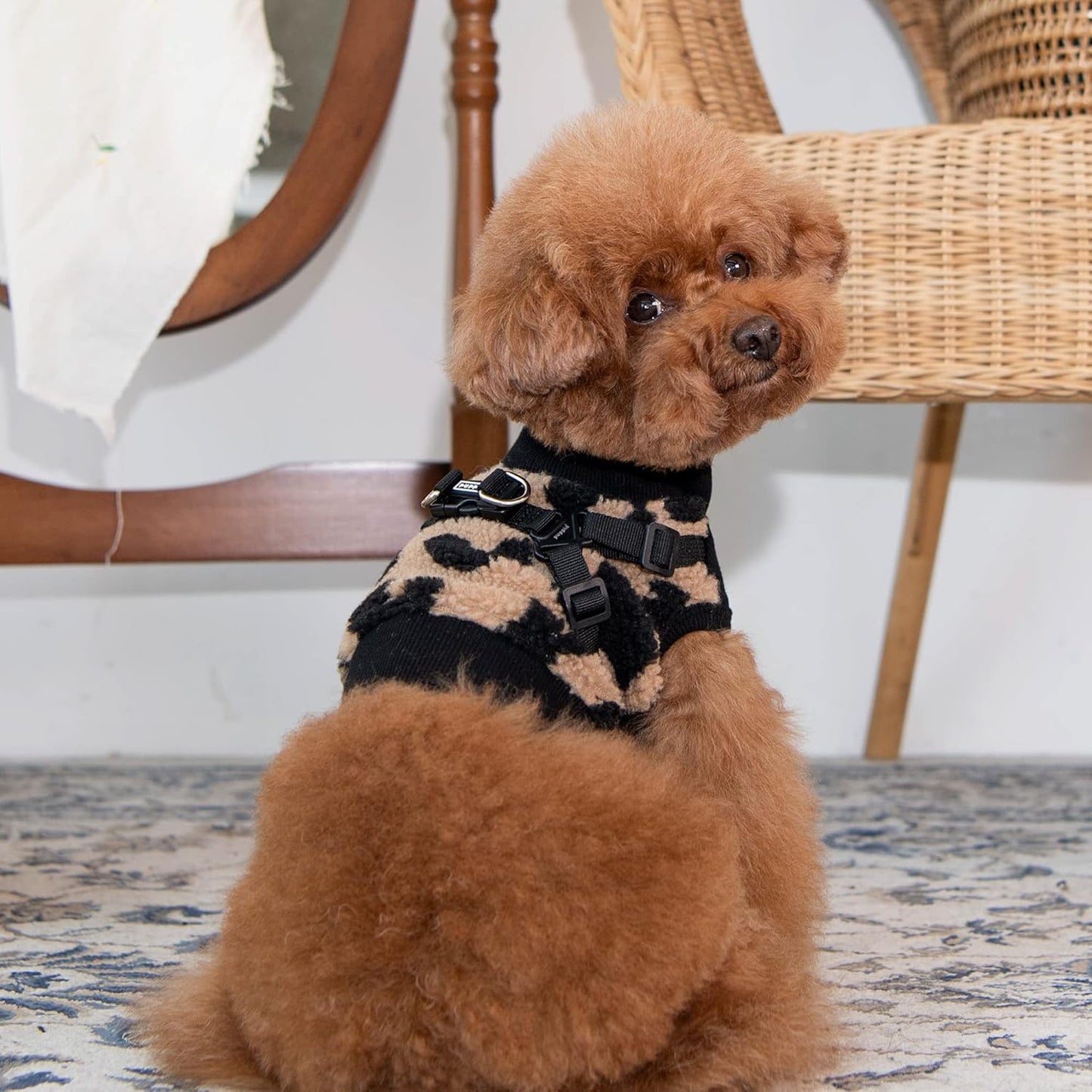 Verstellbares Hundegeschirr für kleine & mittelgrosse Hunde, Beige S