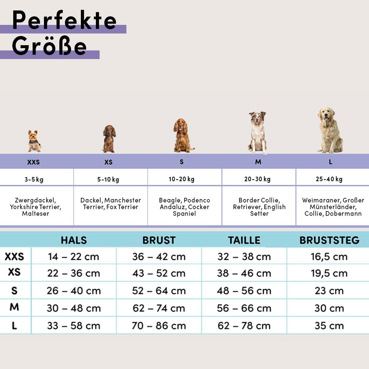 Y-Hundegeschirr, Schwarz XXS
