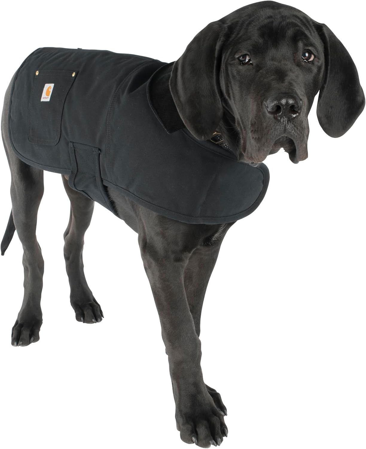 Isolierter Hundemantel Firm Duck Chore Coat, L Schwarz
