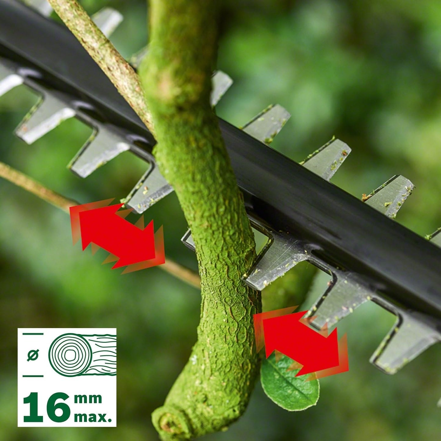 UniversalHedgePole 18, Teleskop Heckenschere | ohne Akku