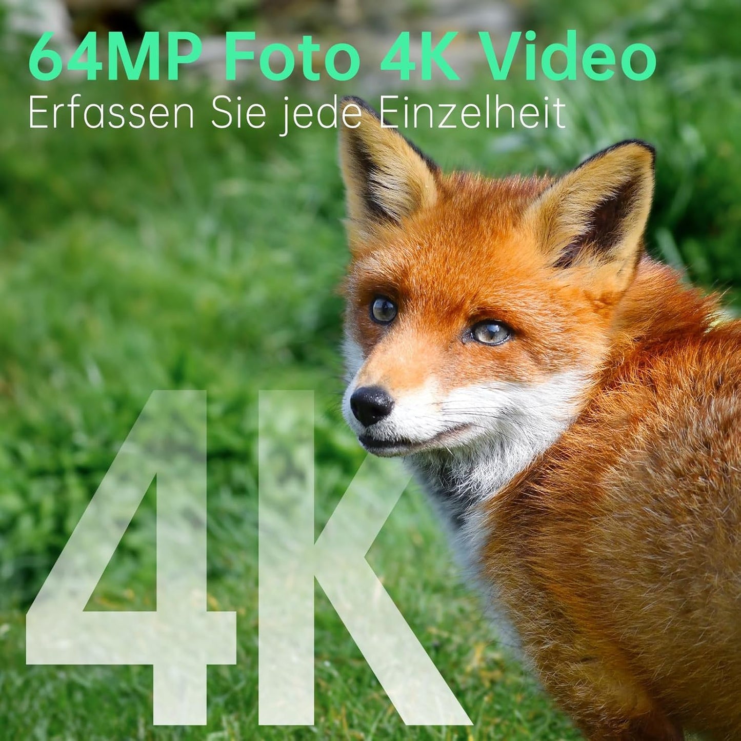 4K Wildkamera mit Bewegungsmelder und Nachtsicht