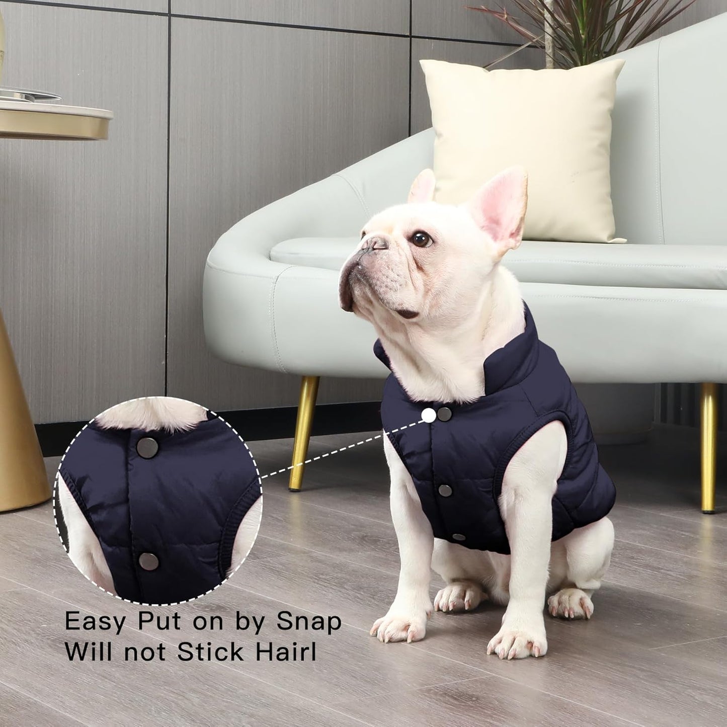 Hundejacke für Winter, 2-lagiges Fleece, Winddicht, X-Small (Pack of 1) Blau