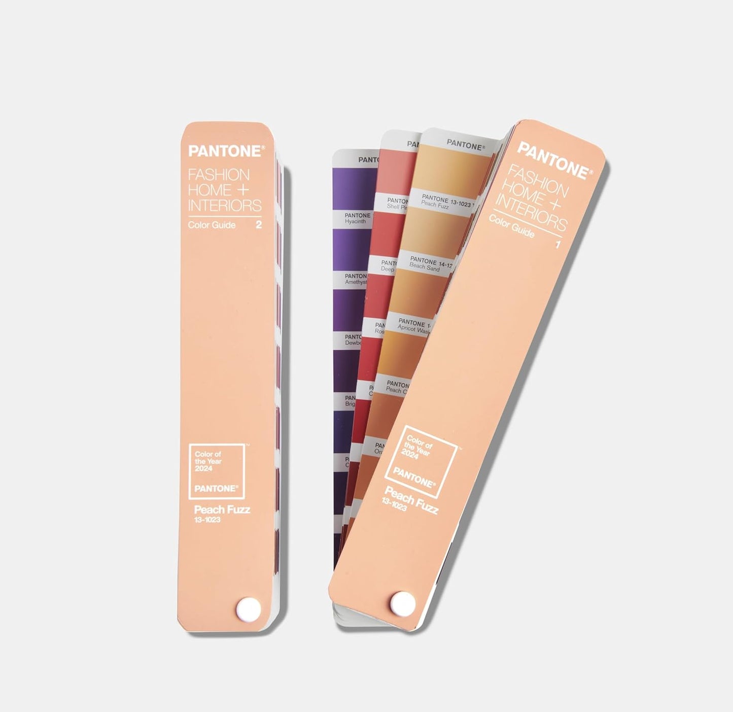 FHI Color Guide mit Jahresfarbauswahl 2024