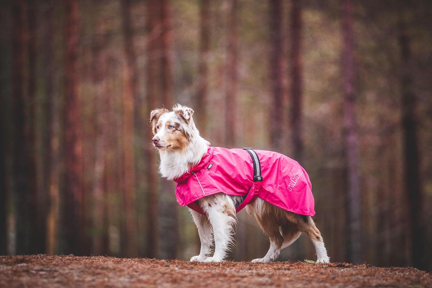 Regenmantel Hase für Hunde, grössenverstellbar, reflektierende Elemente, Himbeere 25