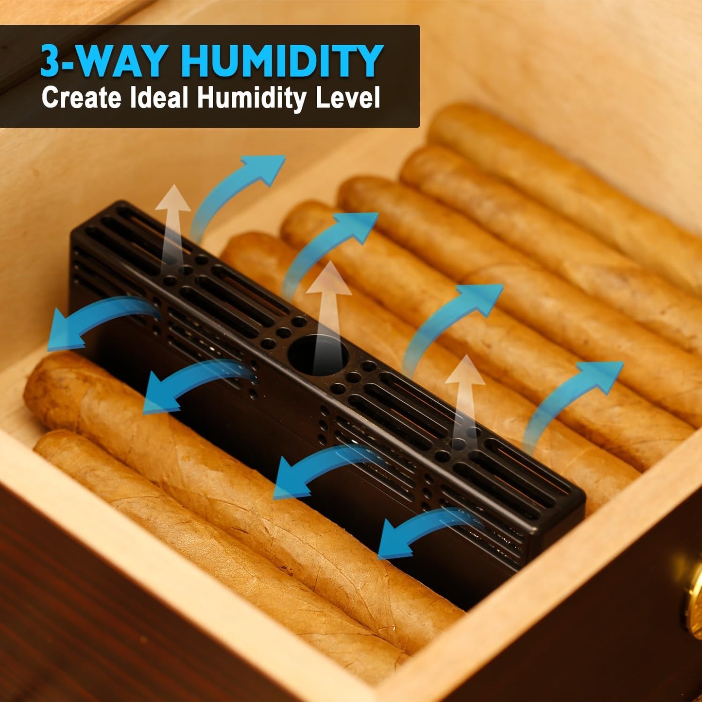 Zigarren Befeuchter Kit für Humidor, Schwarz Kit
