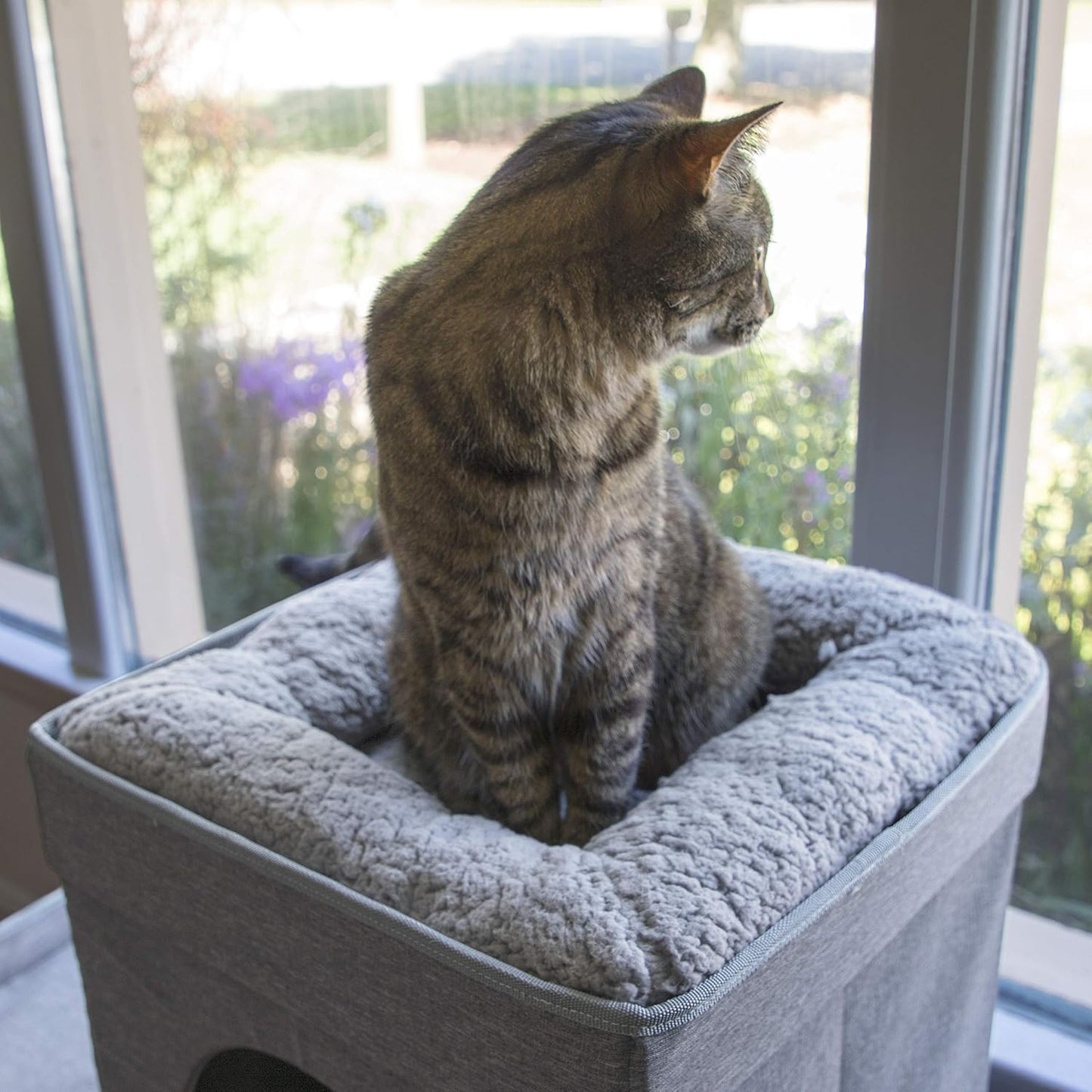 Doppelstöckiges Katzenhaus Cat Condo mit Pop-up Bett, Double Story
