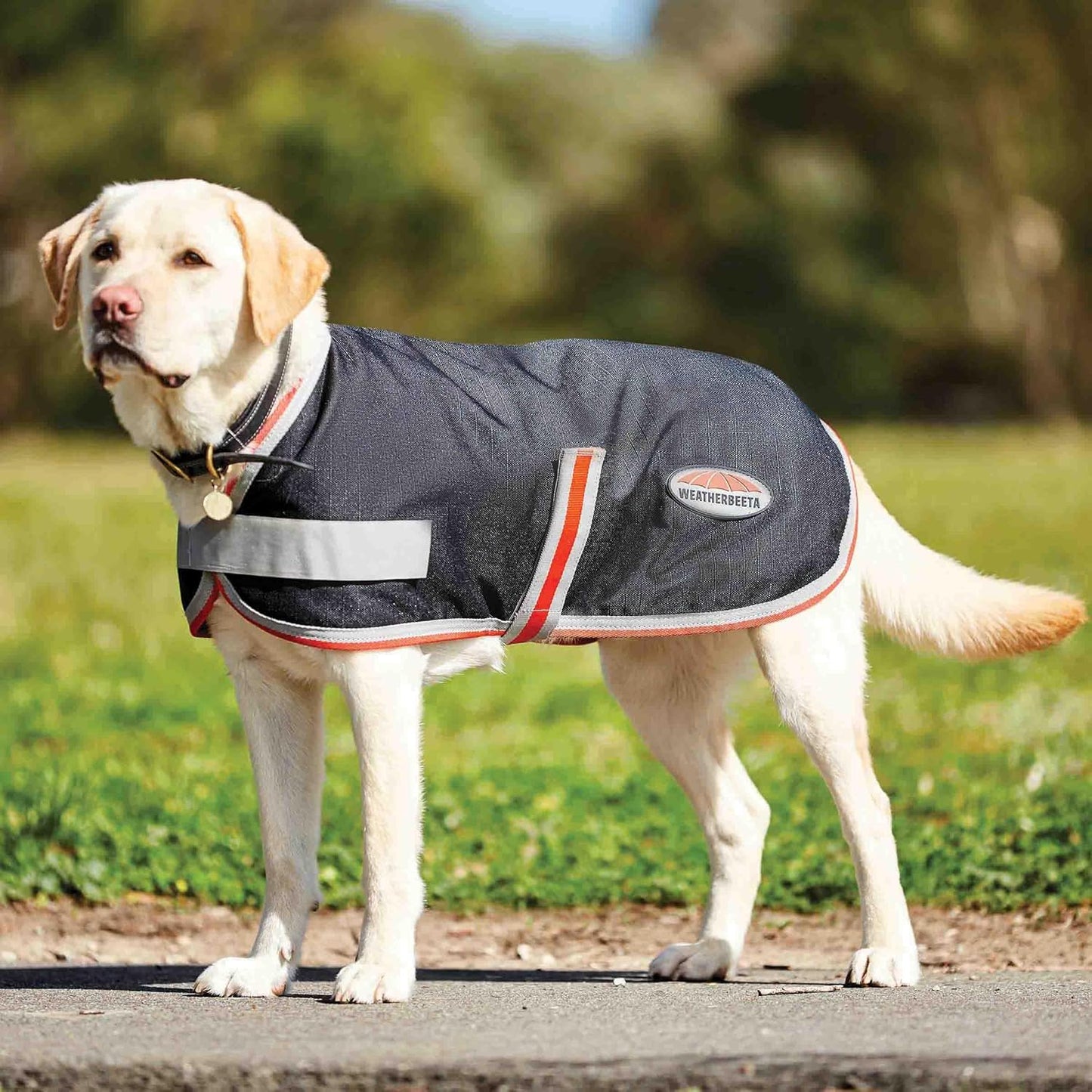 Hundemantel ComFiTec 1200D Therapy-Tec, 30 cm