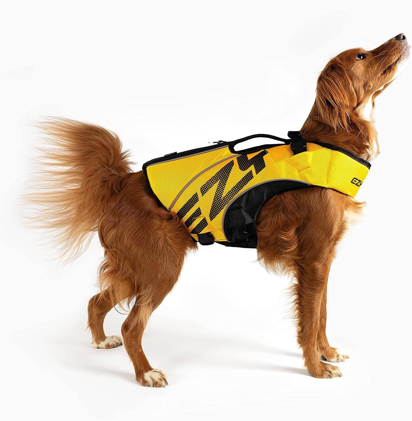 Schwimmweste für Hunde, Gelb XL