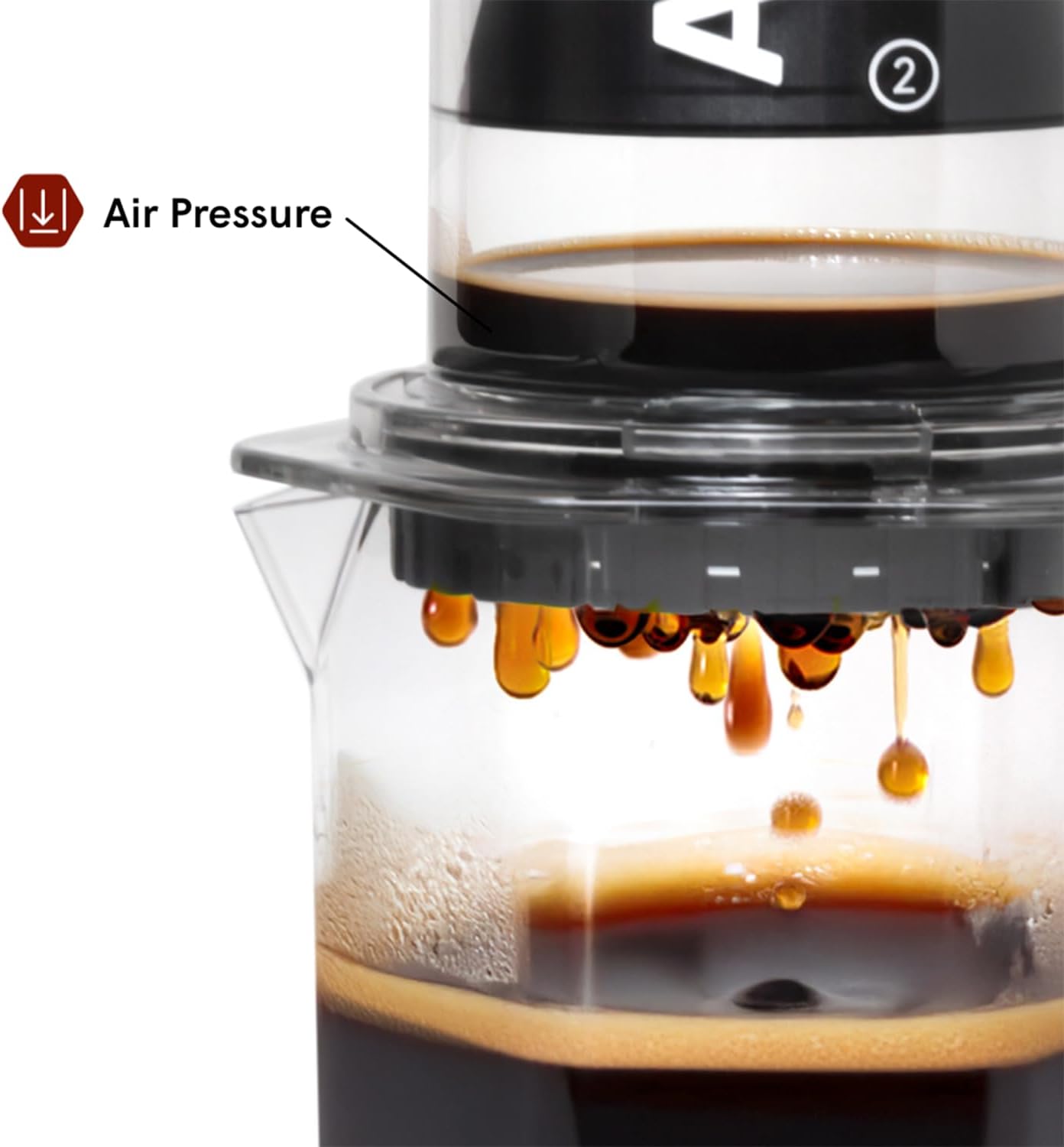 Clear XL Kaffeepresse, Transparent XL XL