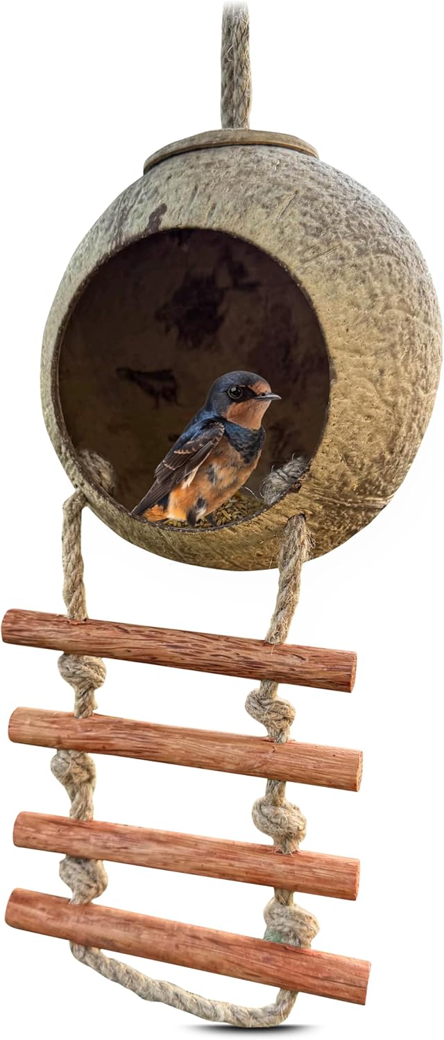 2er-Pack Kokosnuss-Vogelhaus im Leiterstil, 2 Stück