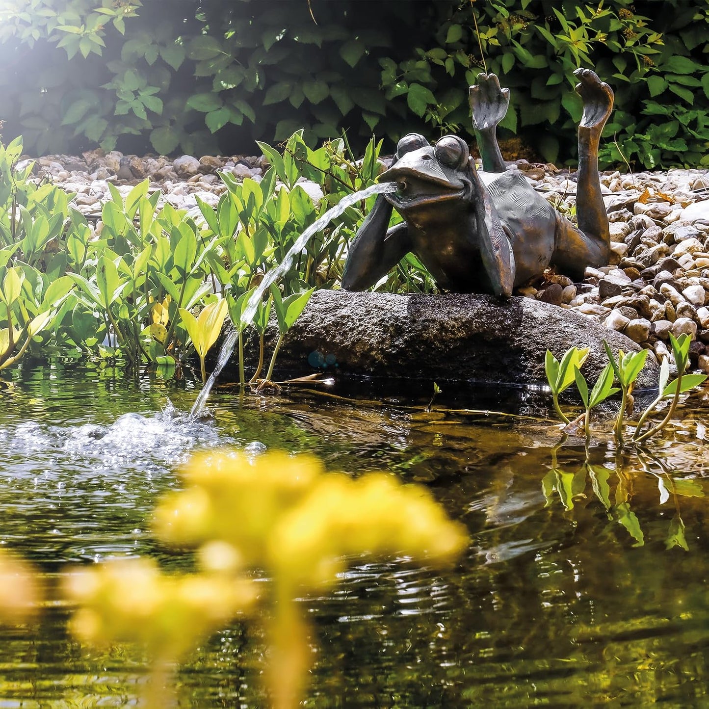 Solar-Wasserspeier Frosch