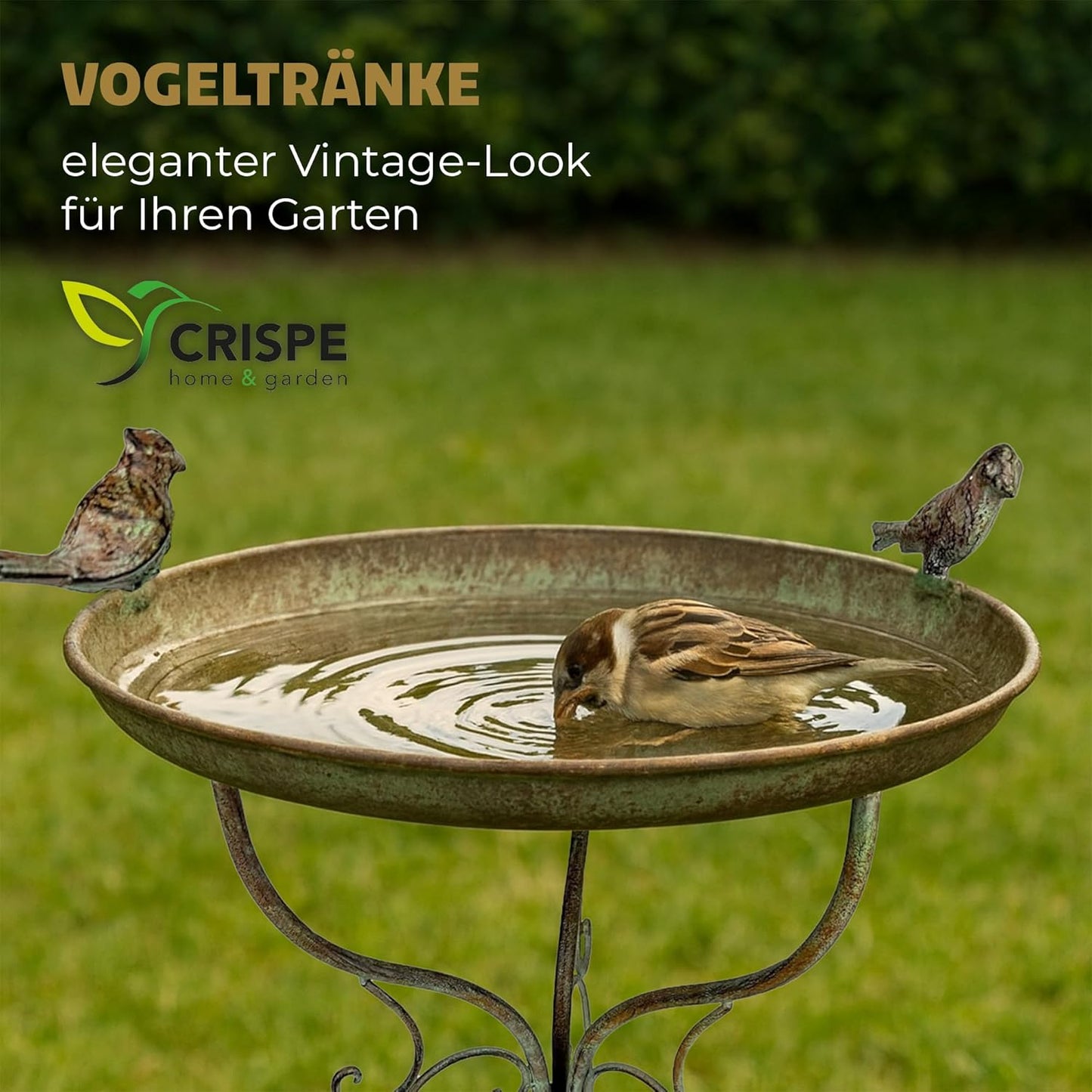 Vogeltränke Gijon aus Metall für Garten & Terrasse, Antikgrün (Gijon)
