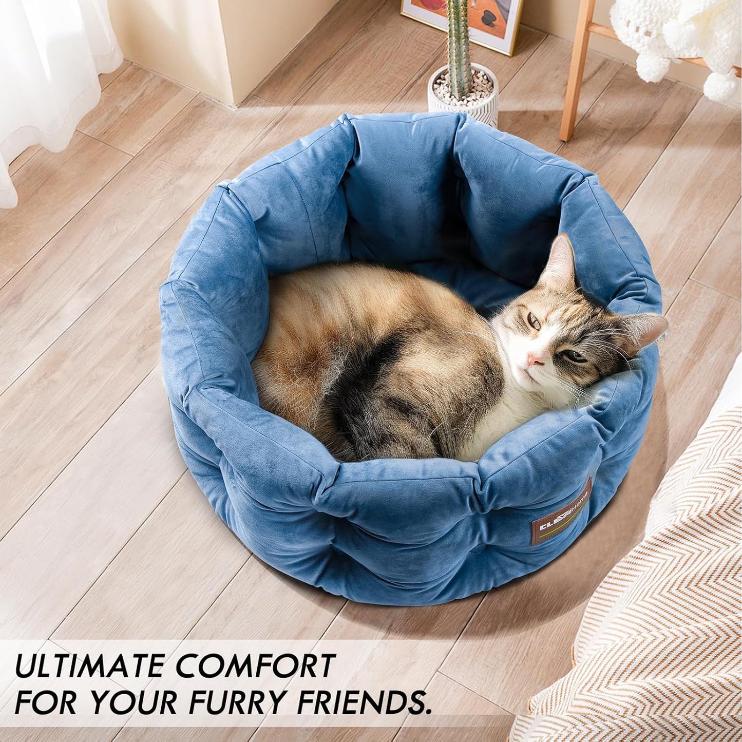 Hunde- und Katzenbett, Stahlblau