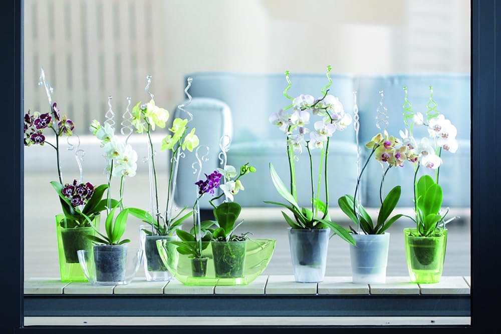 Orchideenstab Kunststoff, 58,5 cm Transparent
