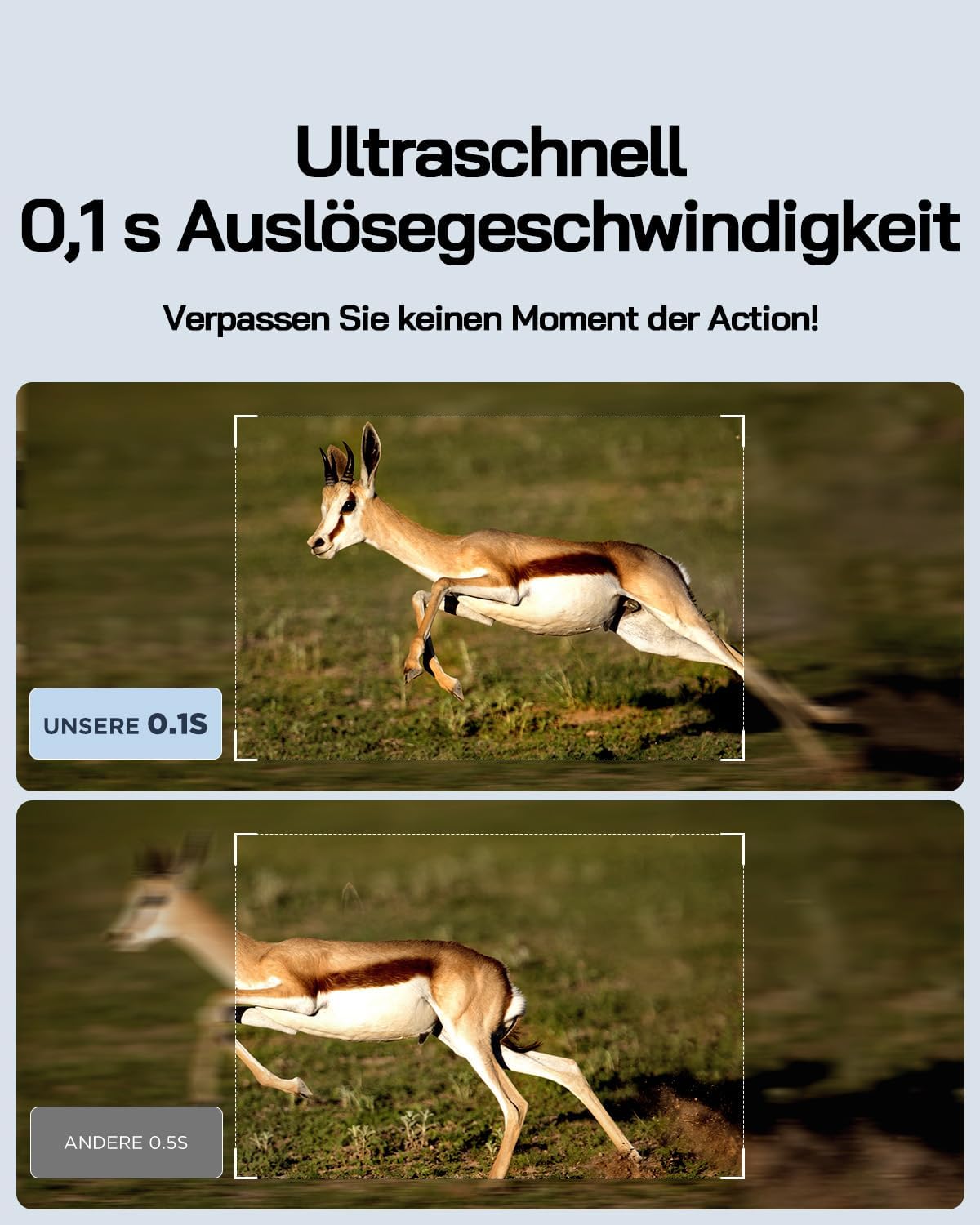 4K Solar Wildkamera WT02 mit Bewegungssensor, Nachtsicht