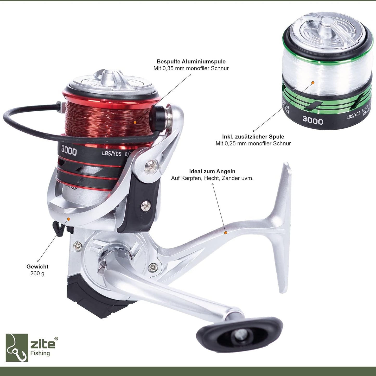 Angelset Allround Teleskoprute & Rolle