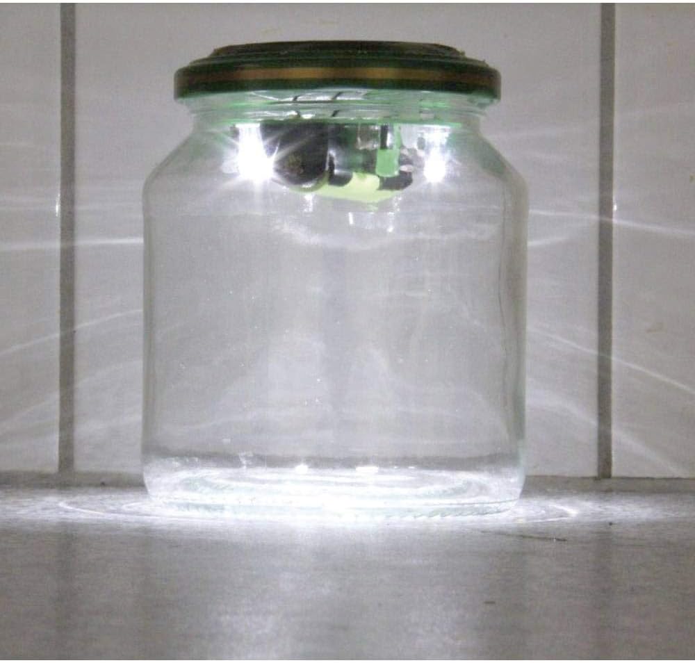 Gurkenglaslampe Lötbausatz