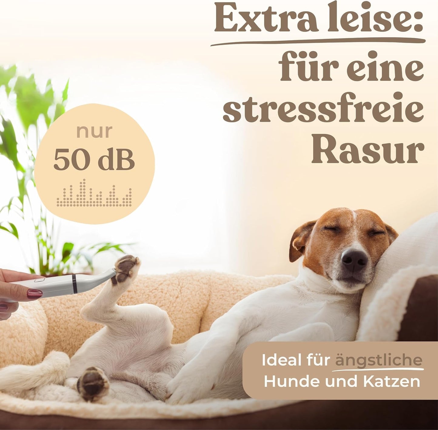 Pfotentrimmer für Hunde und Katzen