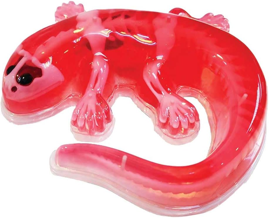 Sezier-Set Salamander, Salamander