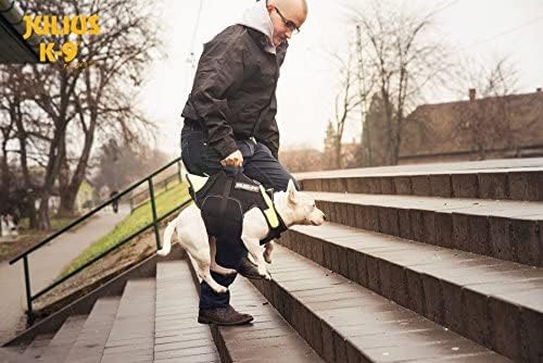 IDC Multifunktionale Hundeweste, S, Schwarz und UV Orange