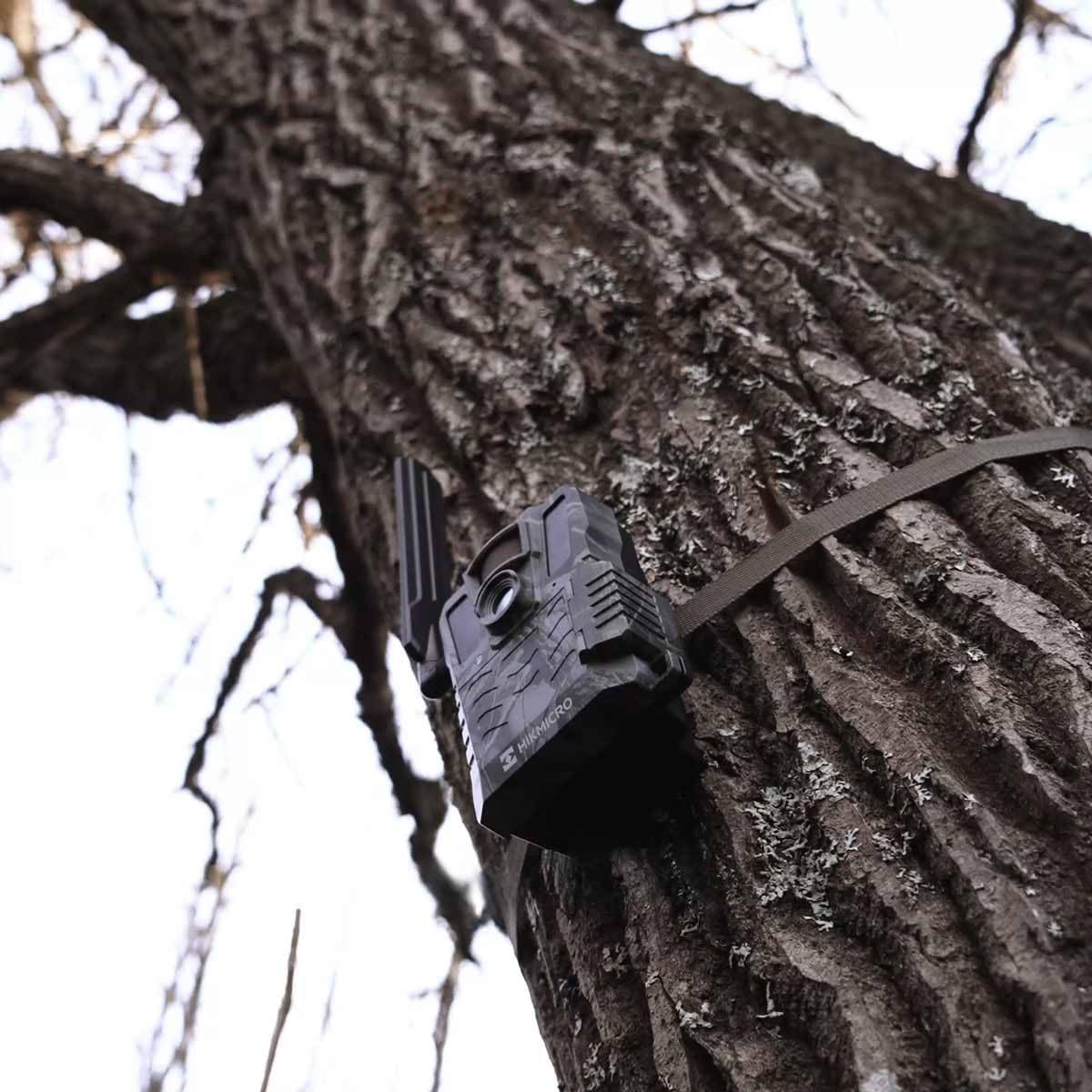 Trail Camera M15