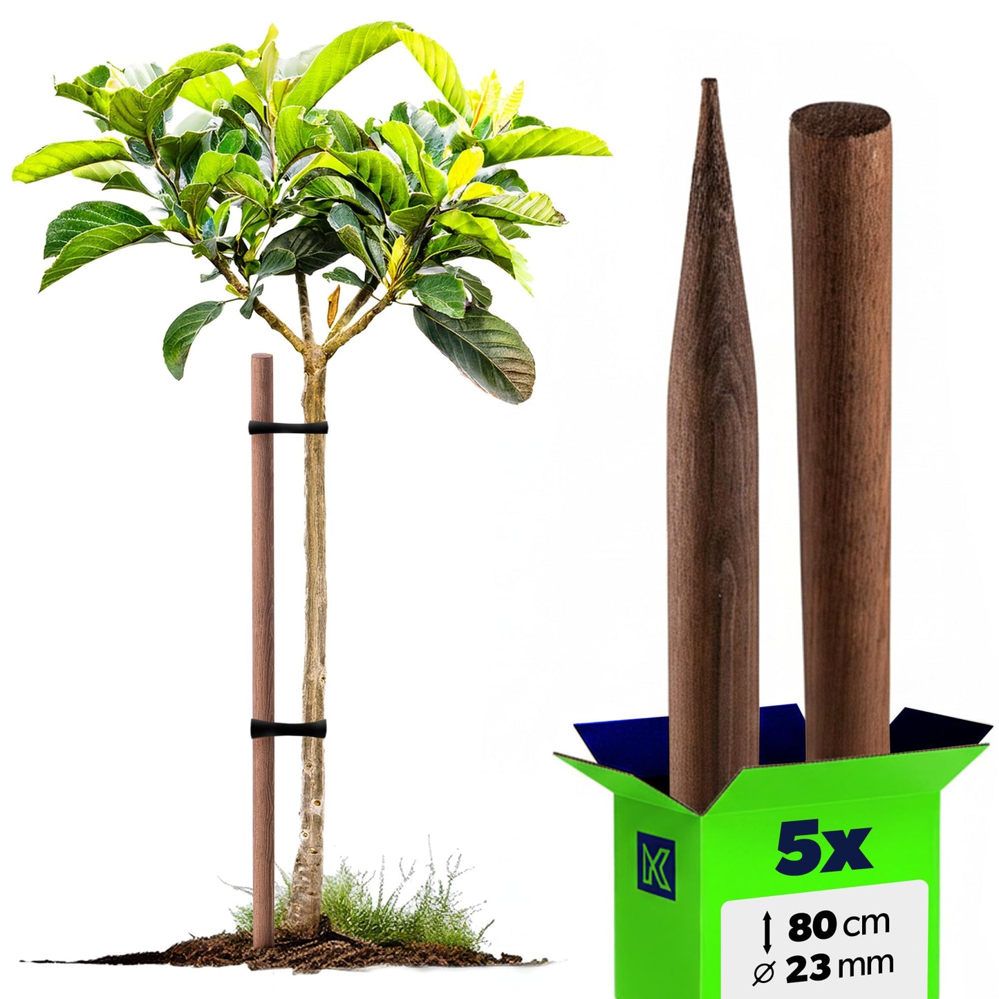 5er-Set Pflanzstäbe, 5 Stück 80 cm