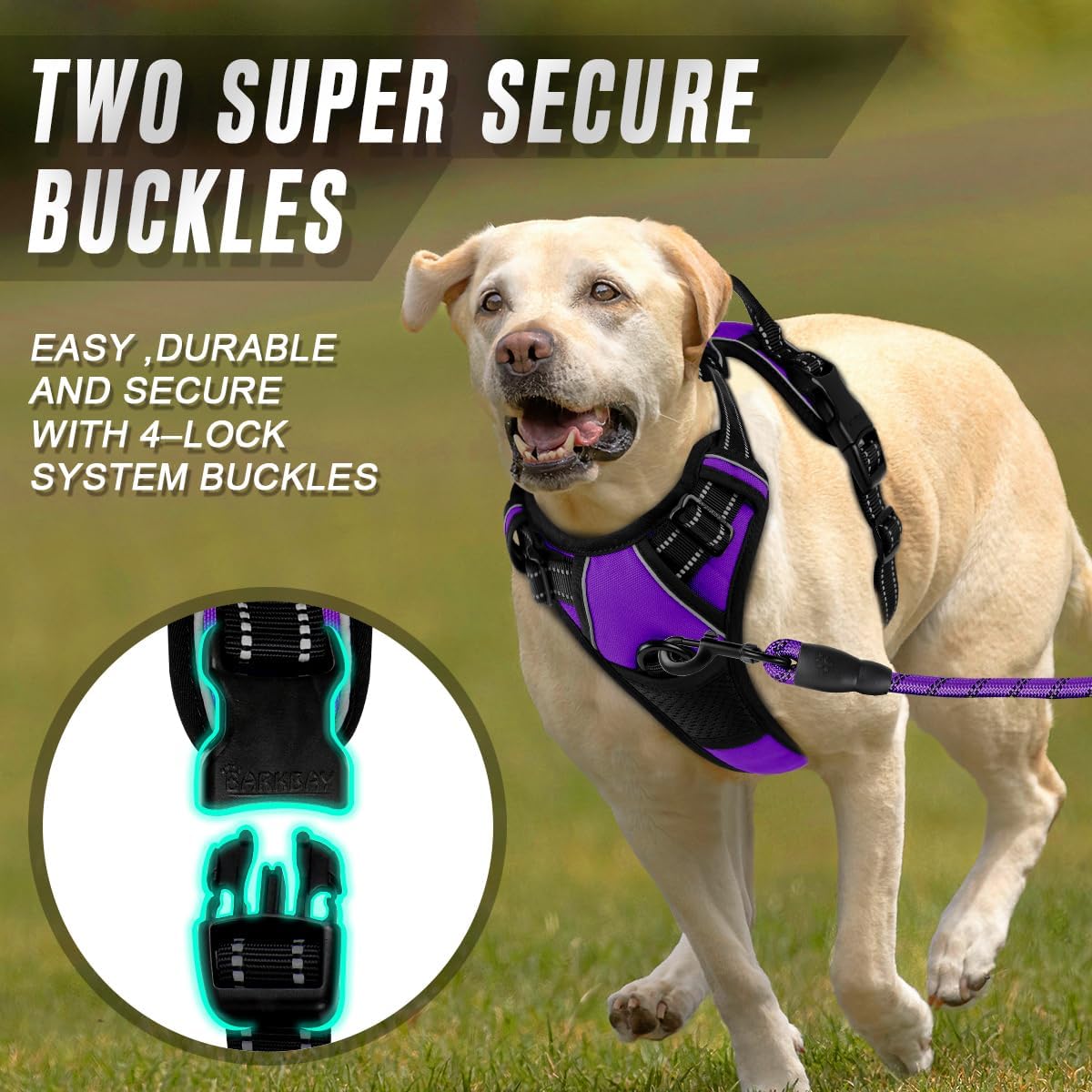 Hundegeschirr, X-Large(Chest:31-38”) Purple