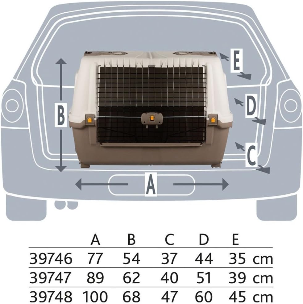 Transportbox Skudo Car 100