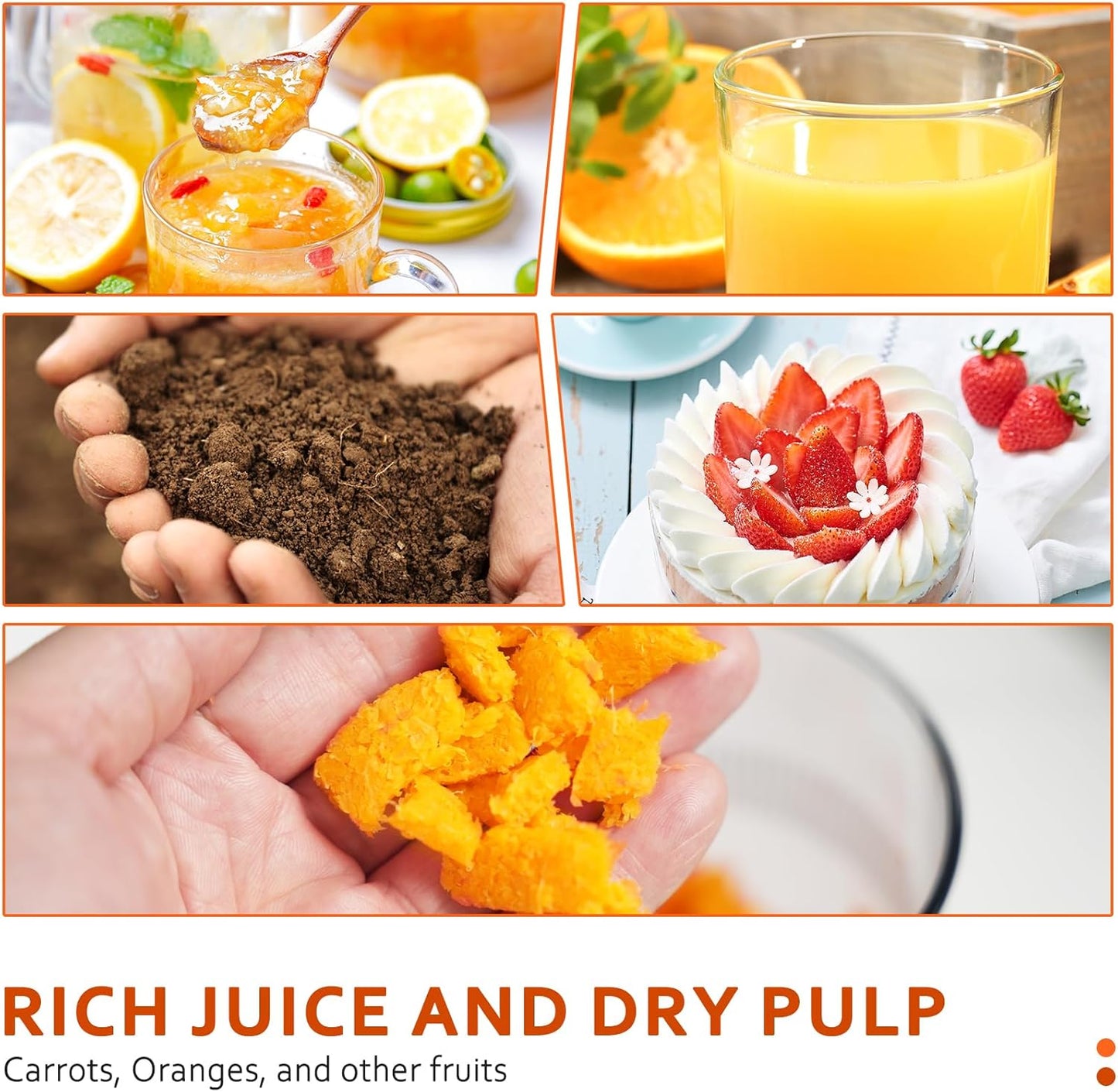Slow Juicer Entsafter mit Rückwärtsfunktion, Single