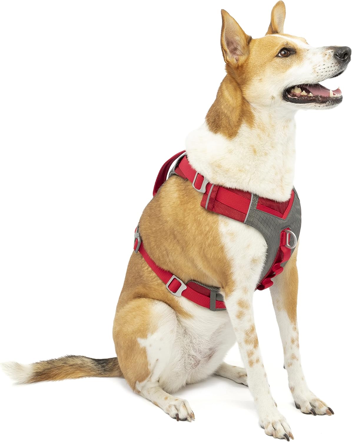 Journey Air Hundegeschirr, L Rot