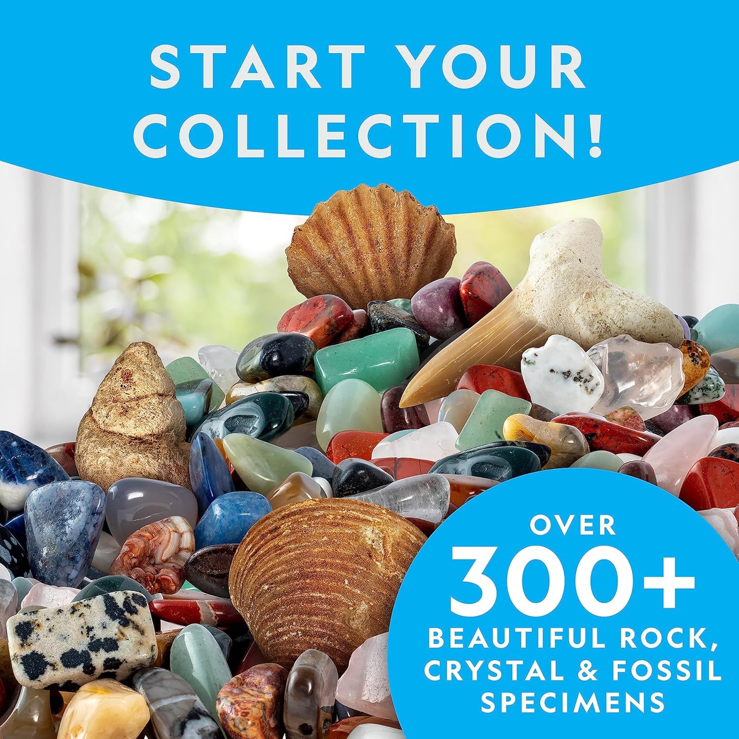 Stein-, Mineralien- und Fossilien-Set, Ultimate Rock & Fossil Kit