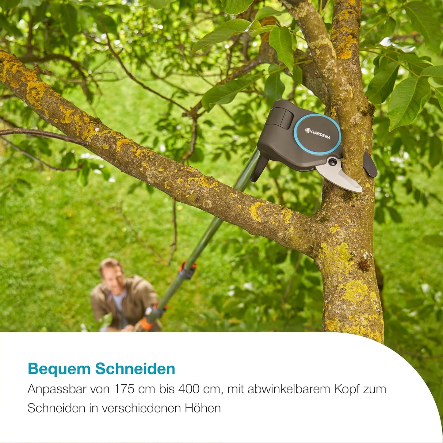 StarCut Pro L Teleskop-Baumschneider, Länge: 175 - 400 cm