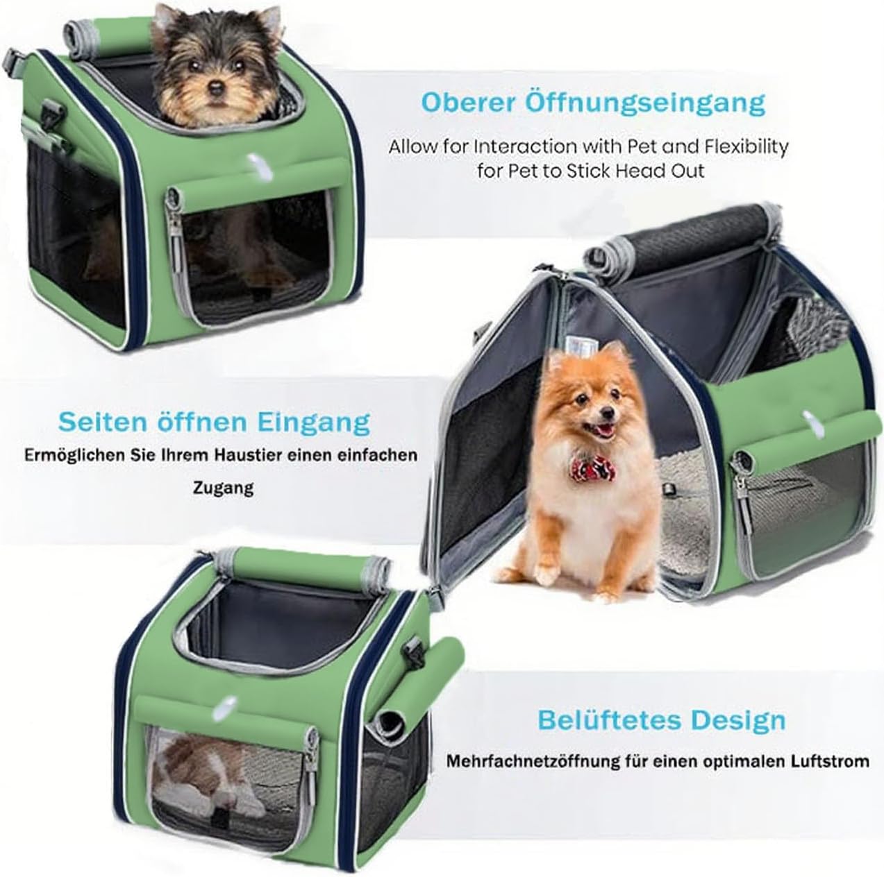 Faltbarer Velo-Hundekorb, Green