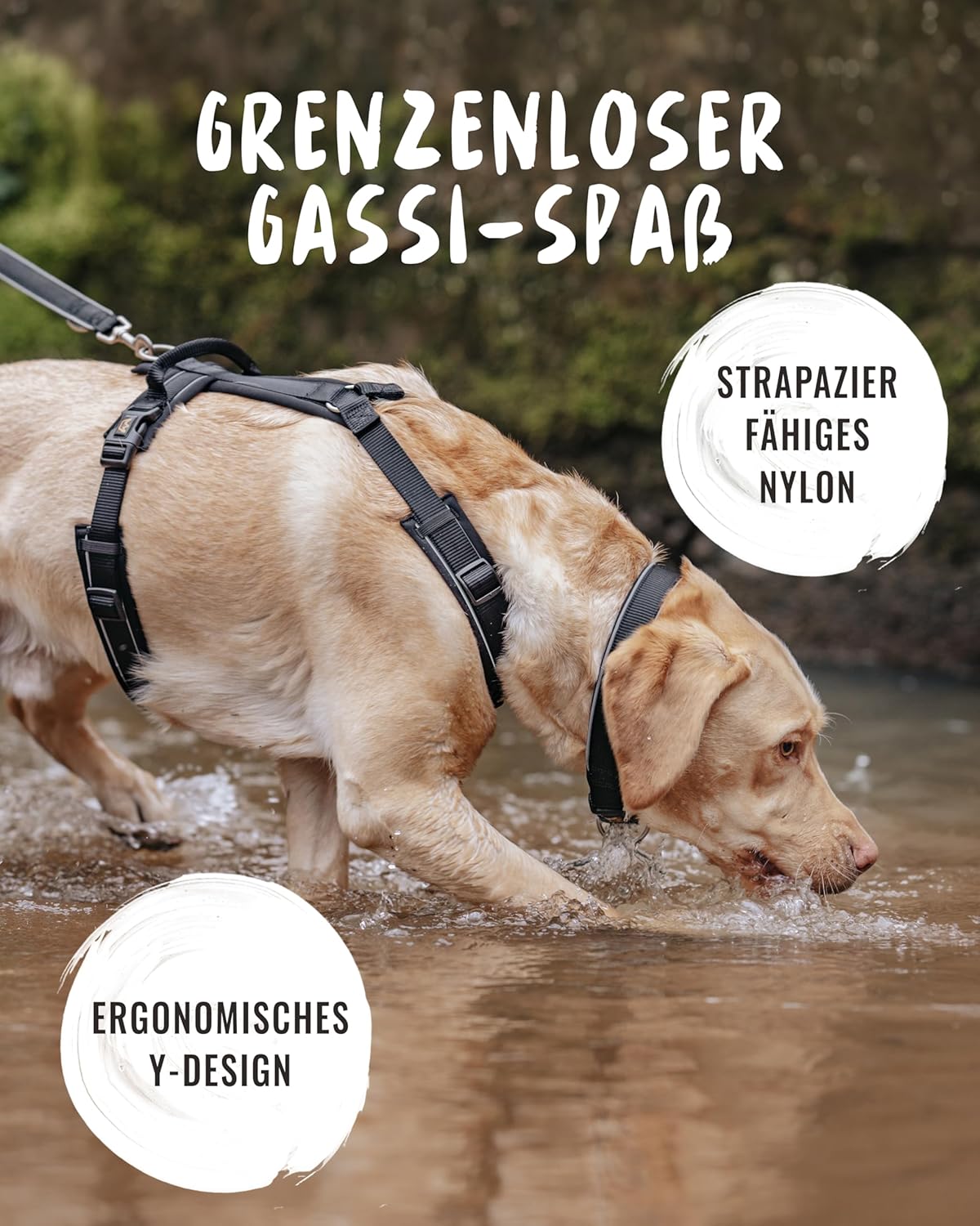 Reflektierendes Hundegeschirr Paola, L / Schwarz-Reflektierend