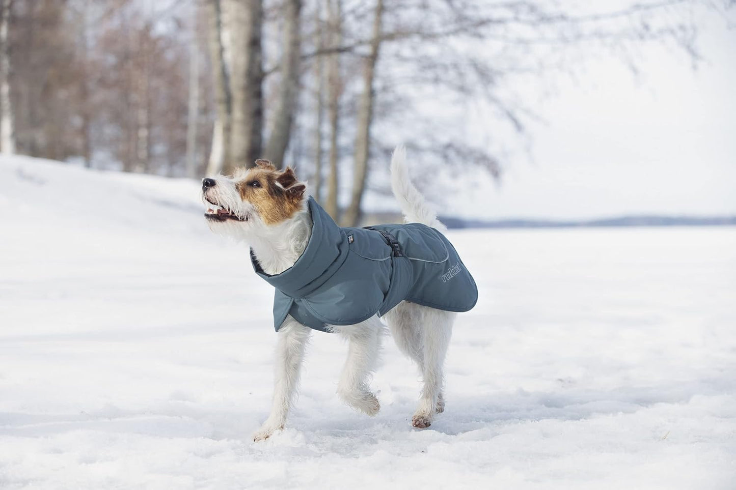 Stormy Hundemantel für kalte Tage, 40 Olive