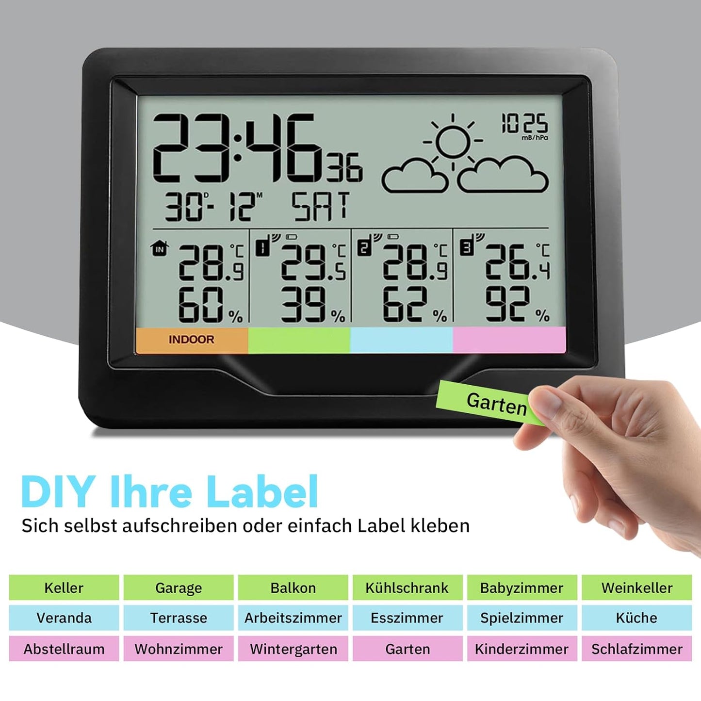 Funk-Wetterstation, Schwarz-Weiss-Bildschirm