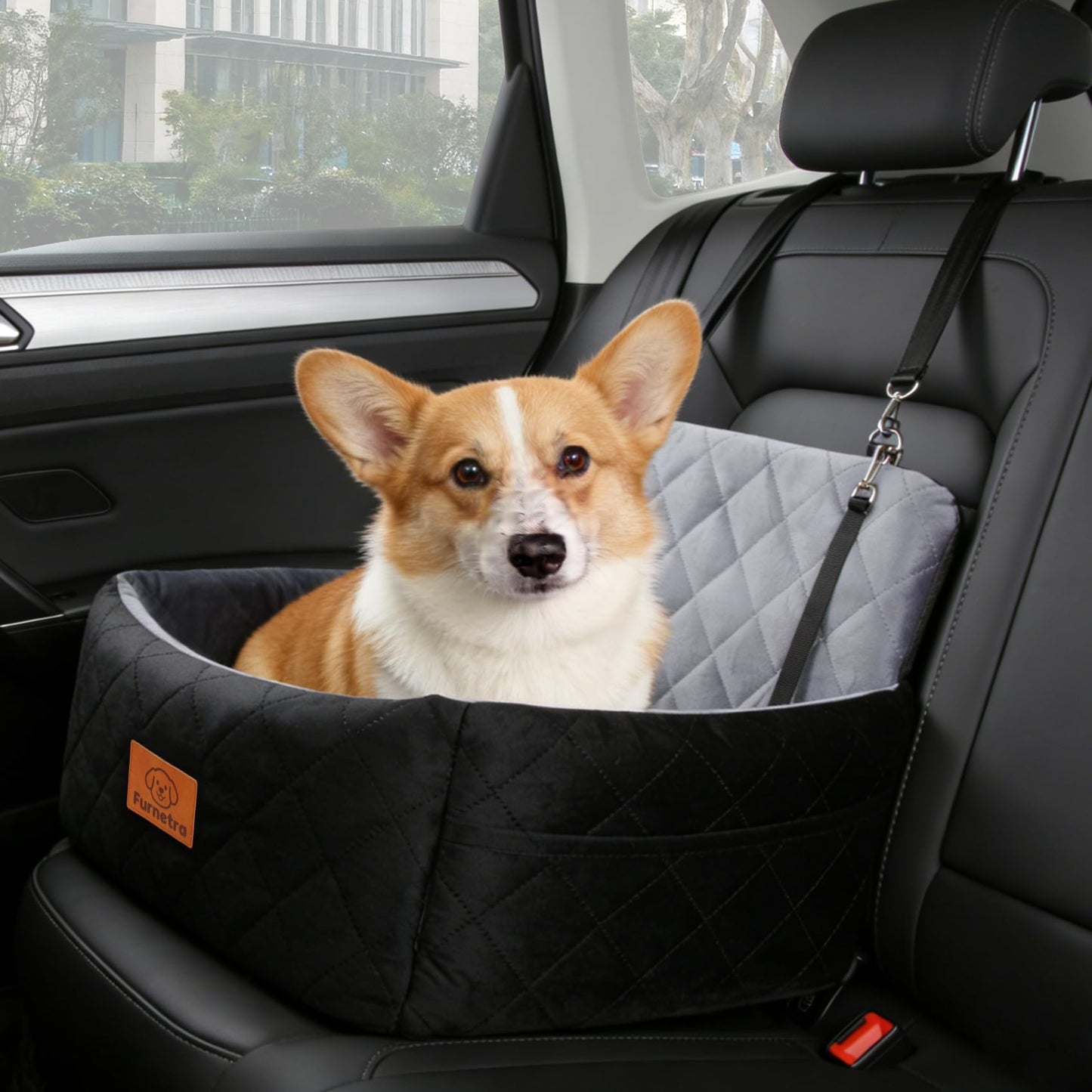 Autositz für Hunde