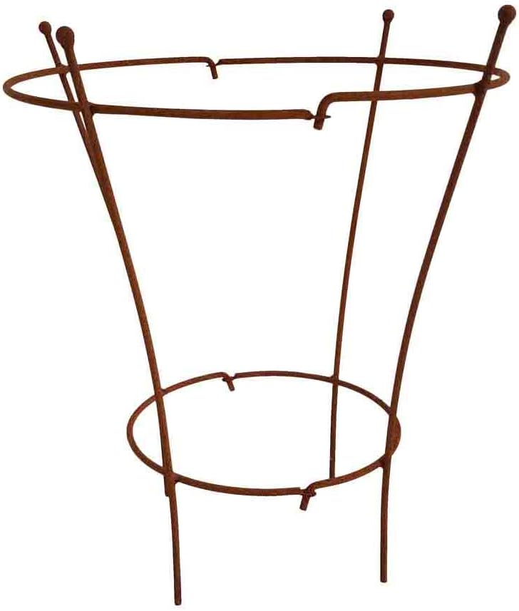 Staudenhalter, Höhe 60cm