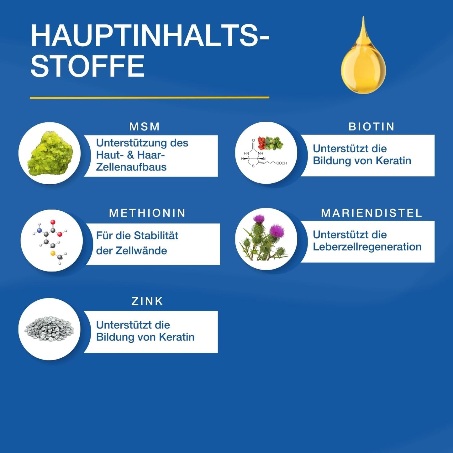 Biotin Pferd-Nahrungsergänzung mit MSM & Zink