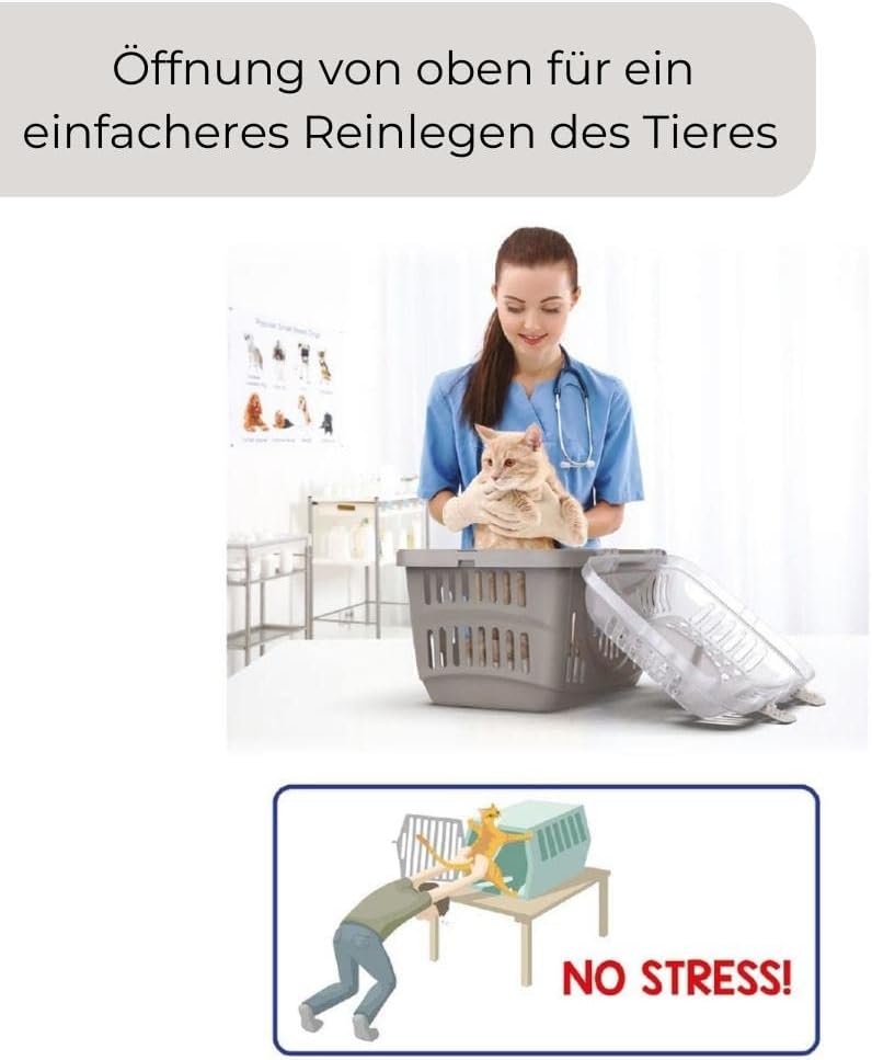 Transportbox